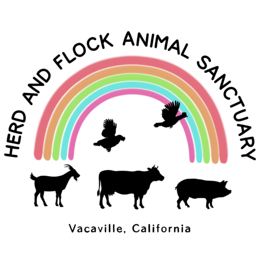 Herd & Flock Animal Sanctuary Logo