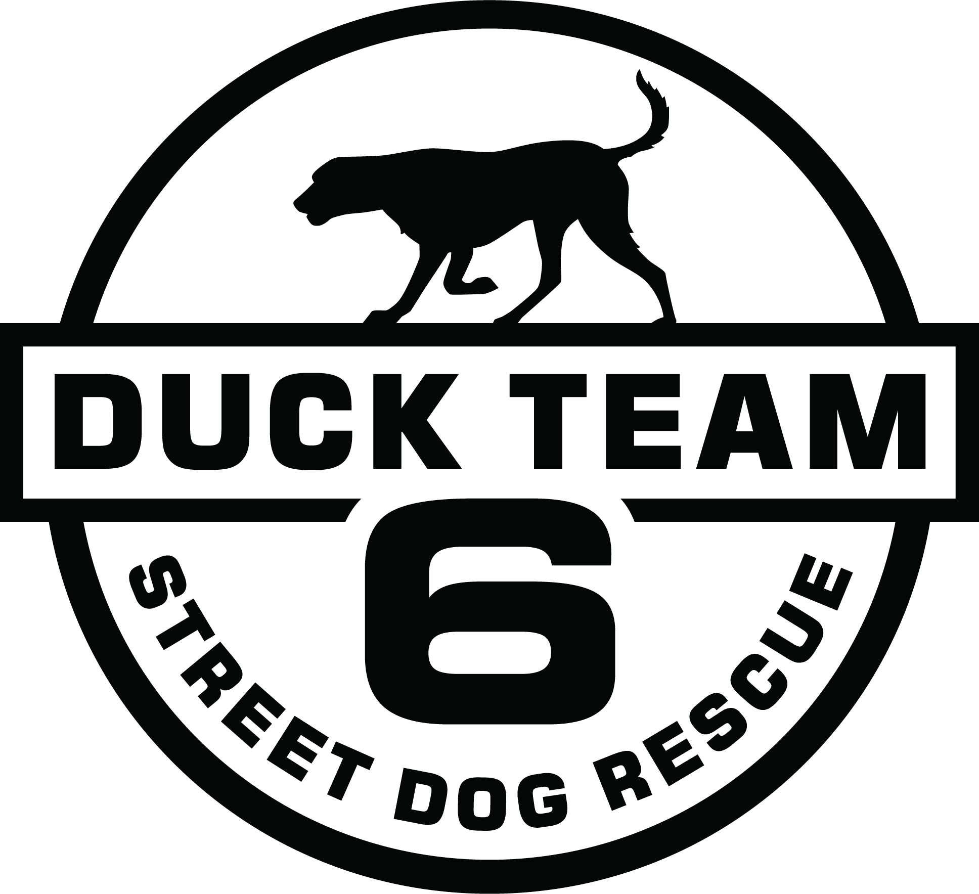 Duck Team 6 Logo