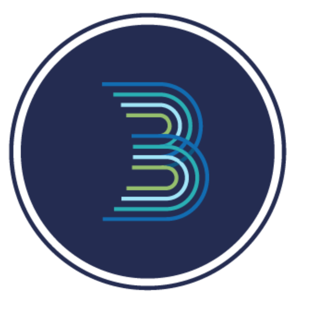 Be The Bridge Logo