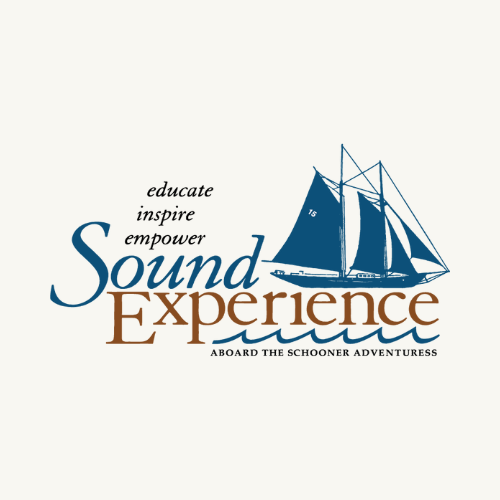 Sound Experience Logo
