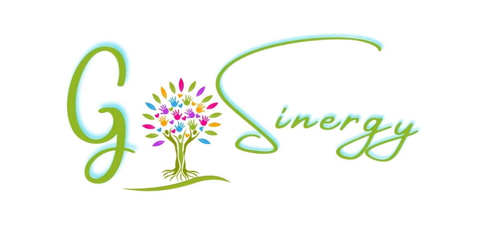 Gosinergy Inc Logo