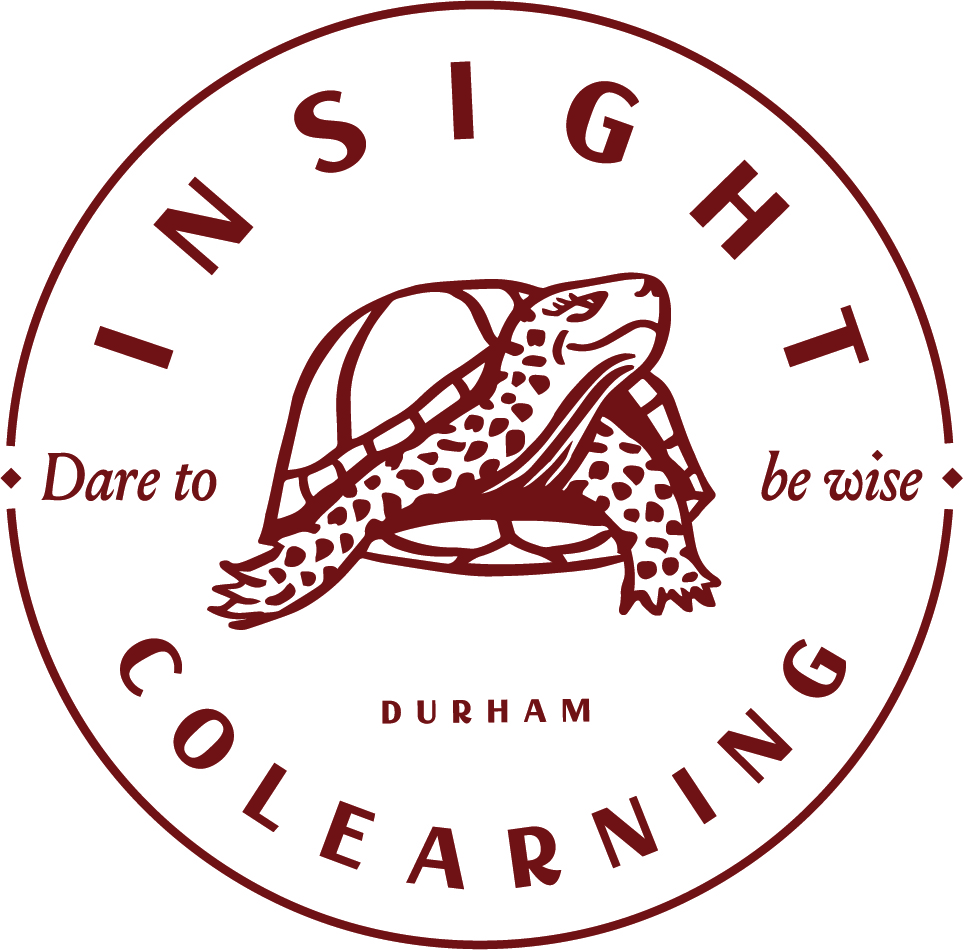 Insight Colearning Center Logo