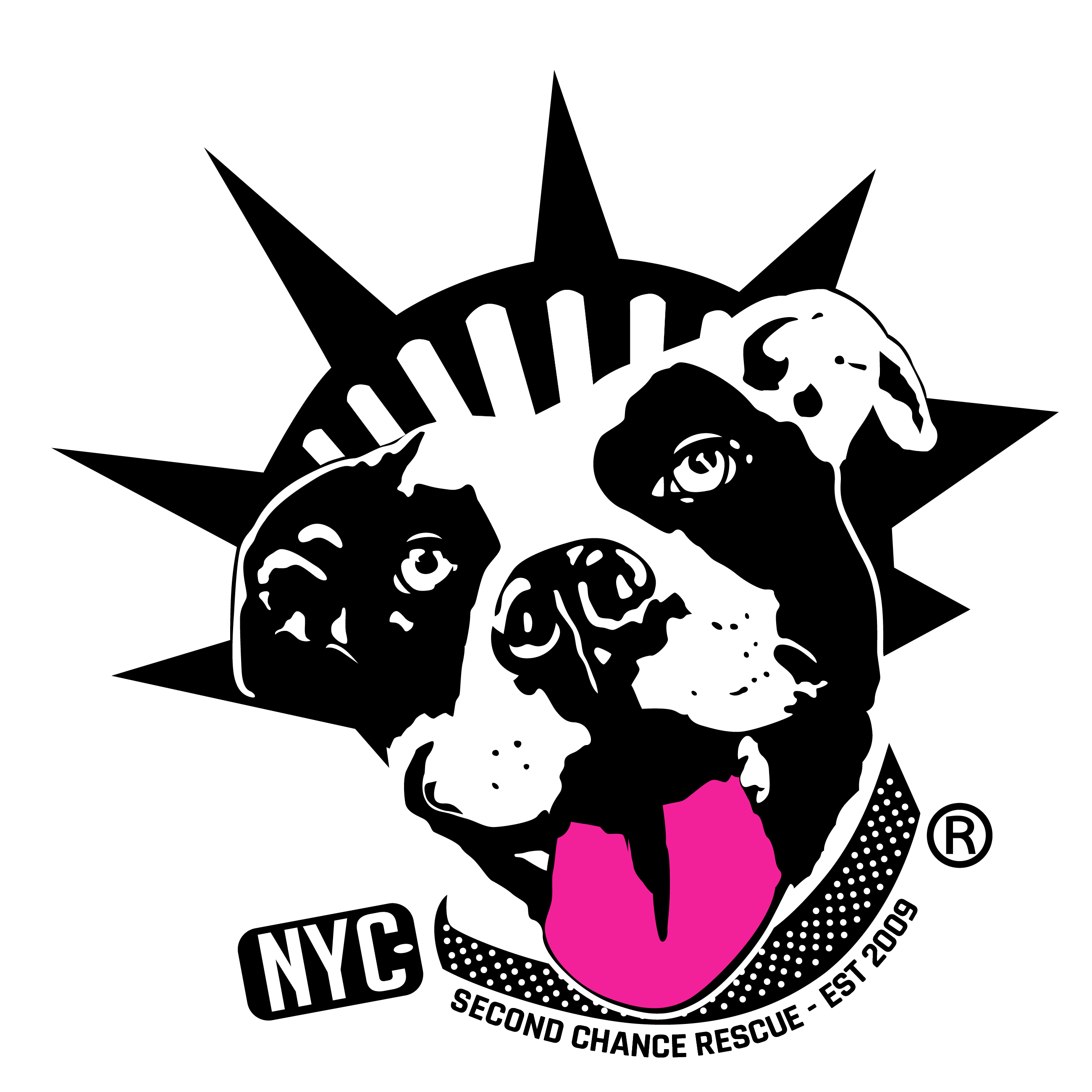 Second Chance Rescue Logo
