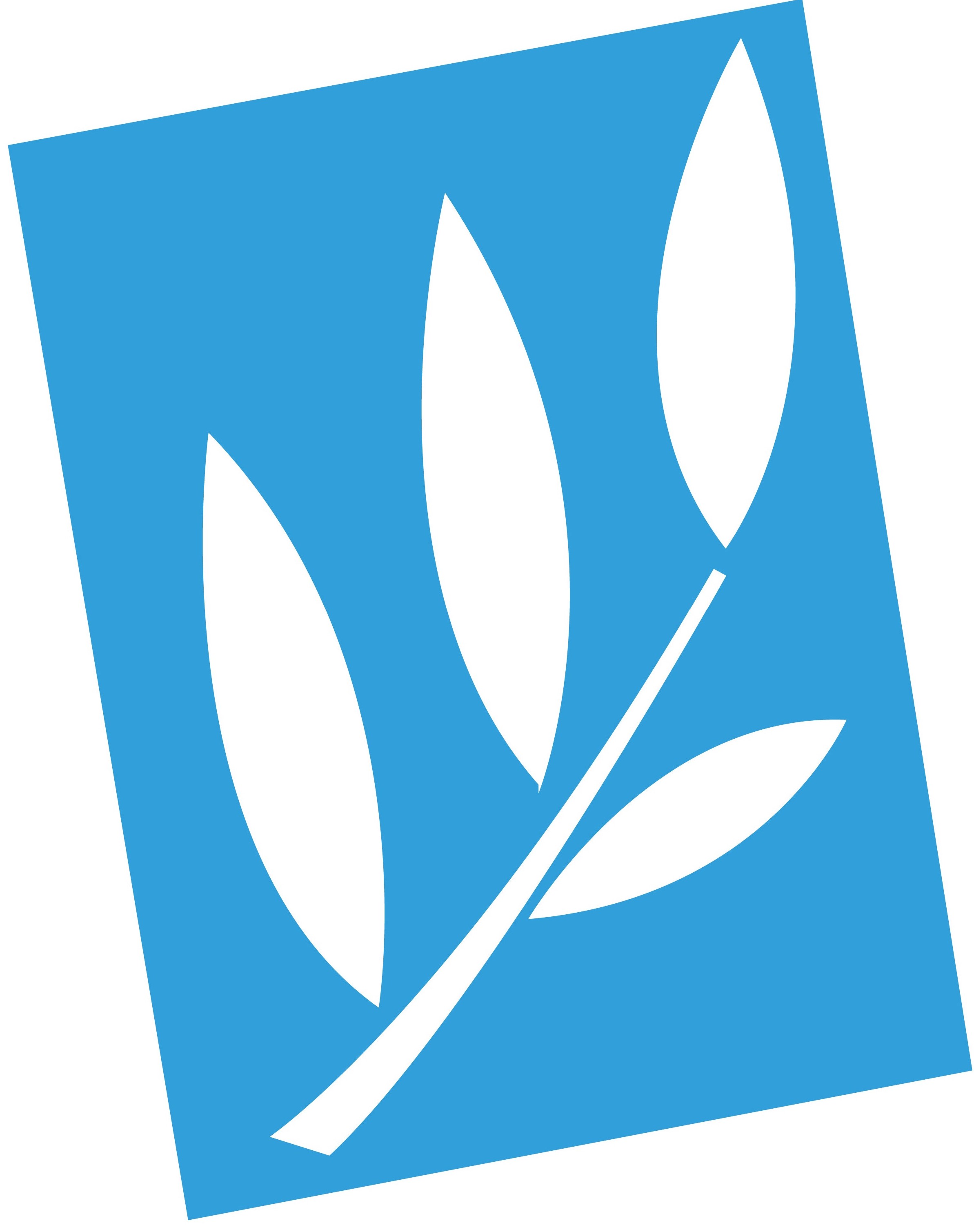Pacifica Foundation Inc Logo