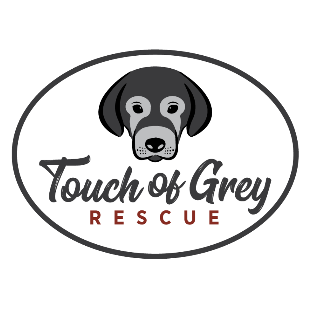 Touch Of Grey Rescue Logo