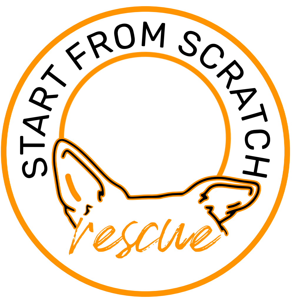 Start From Scratch Rescue Logo