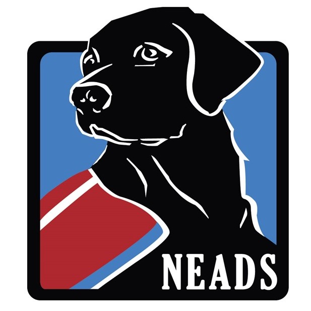 Neads Logo