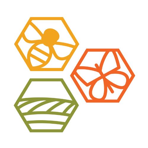 Project Apis M 20 Logo