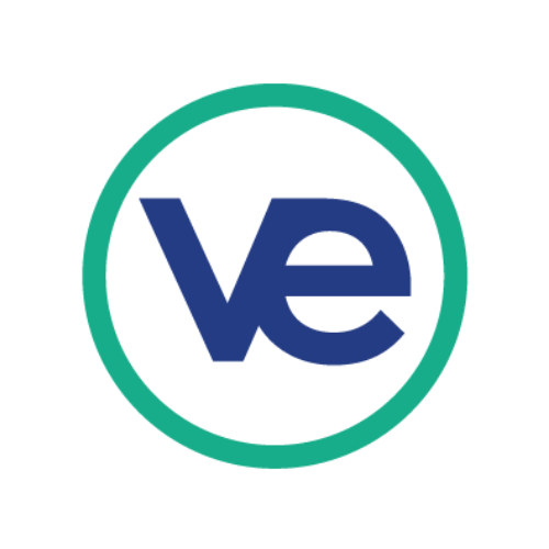 Virtual Enterprises International Inc Logo