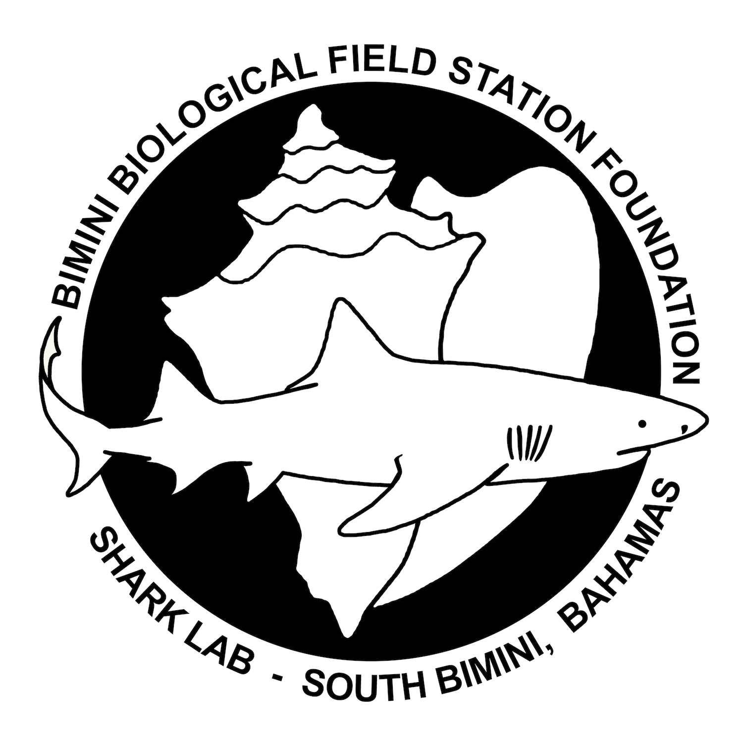 Bimini Biological Field Station Foundation Inc Logo