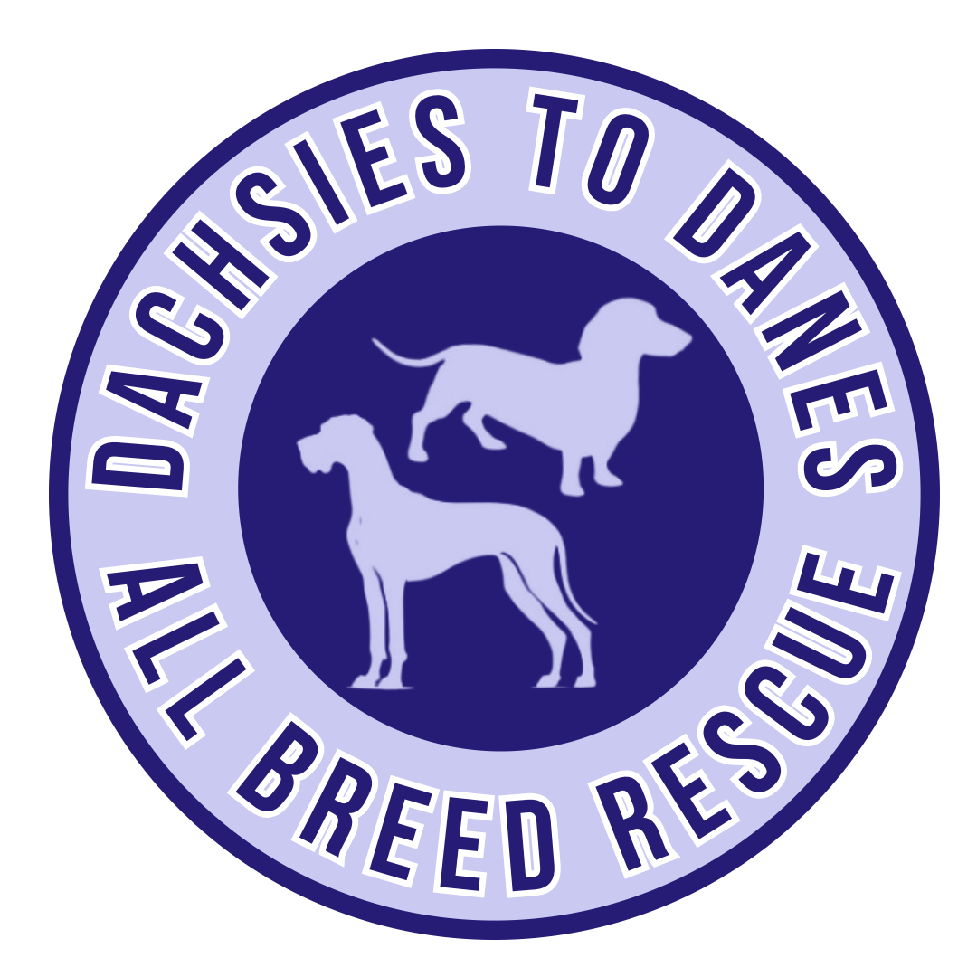 Dachsies to Danes All Breed Rescue Logo