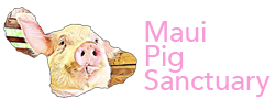 Maui Pig Sanctuary Logo