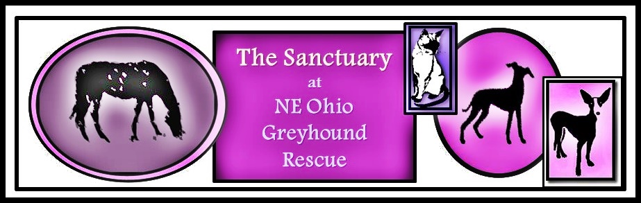 Ne Ohio Greyhound Rescue Logo