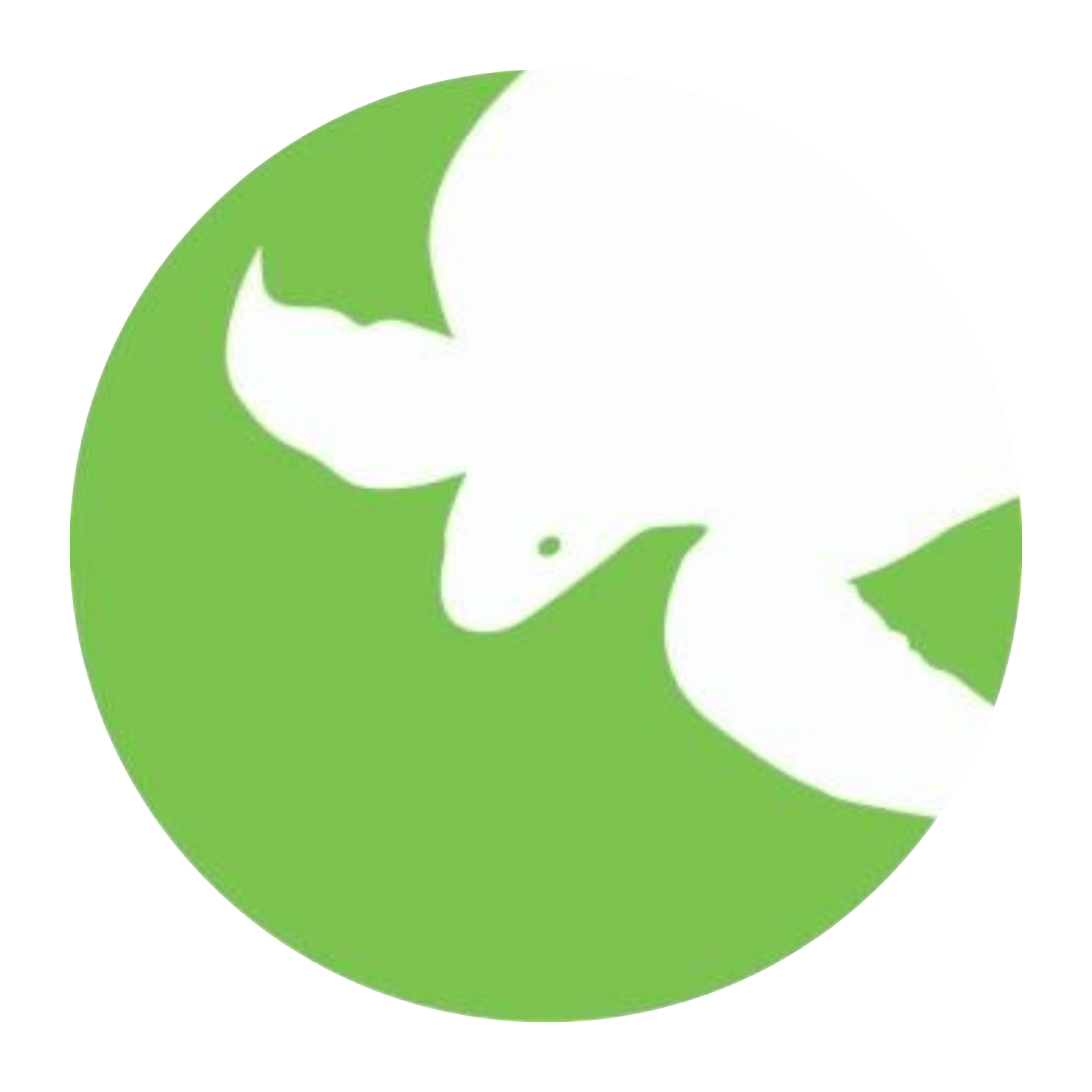 See Turtles Logo