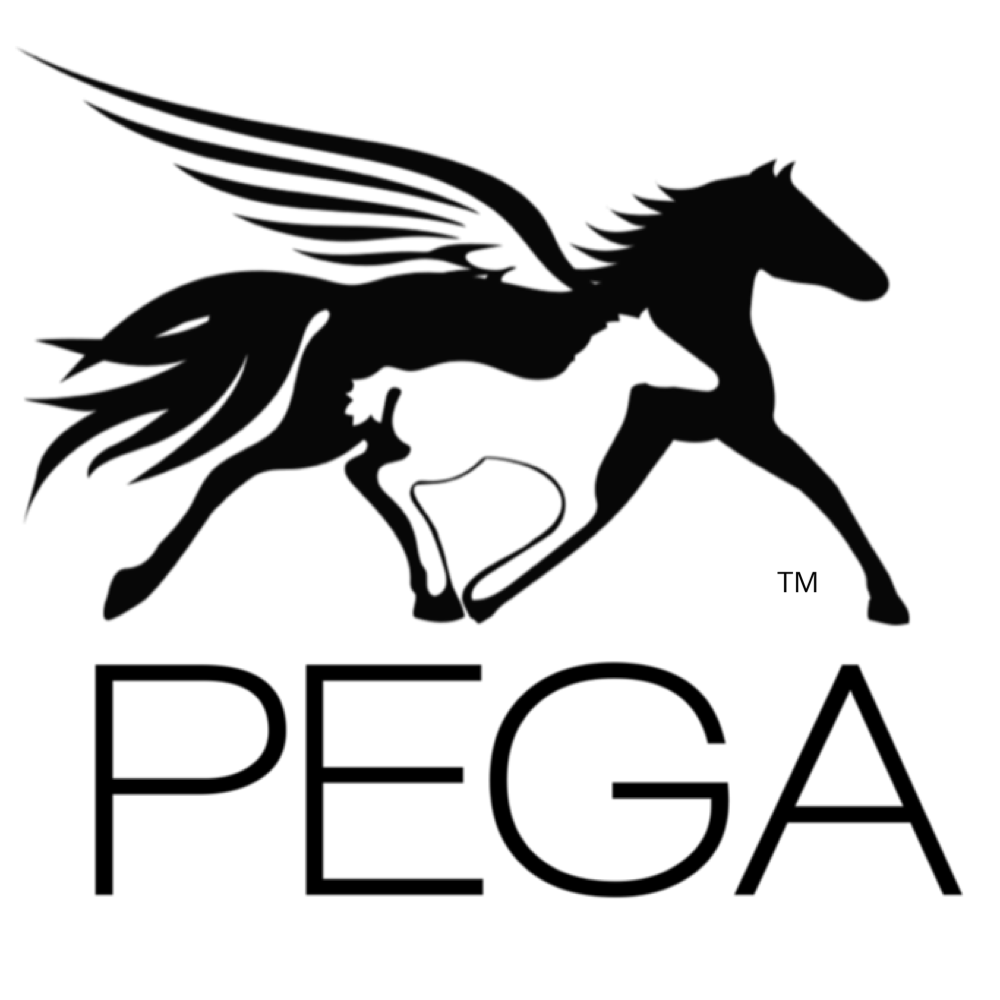 Pegasus Equine Guardian Association Logo