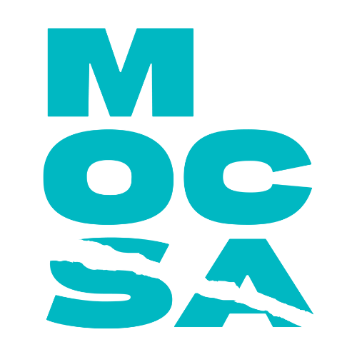 Metropolitan Organization To Counter Sexual Assault Logo
