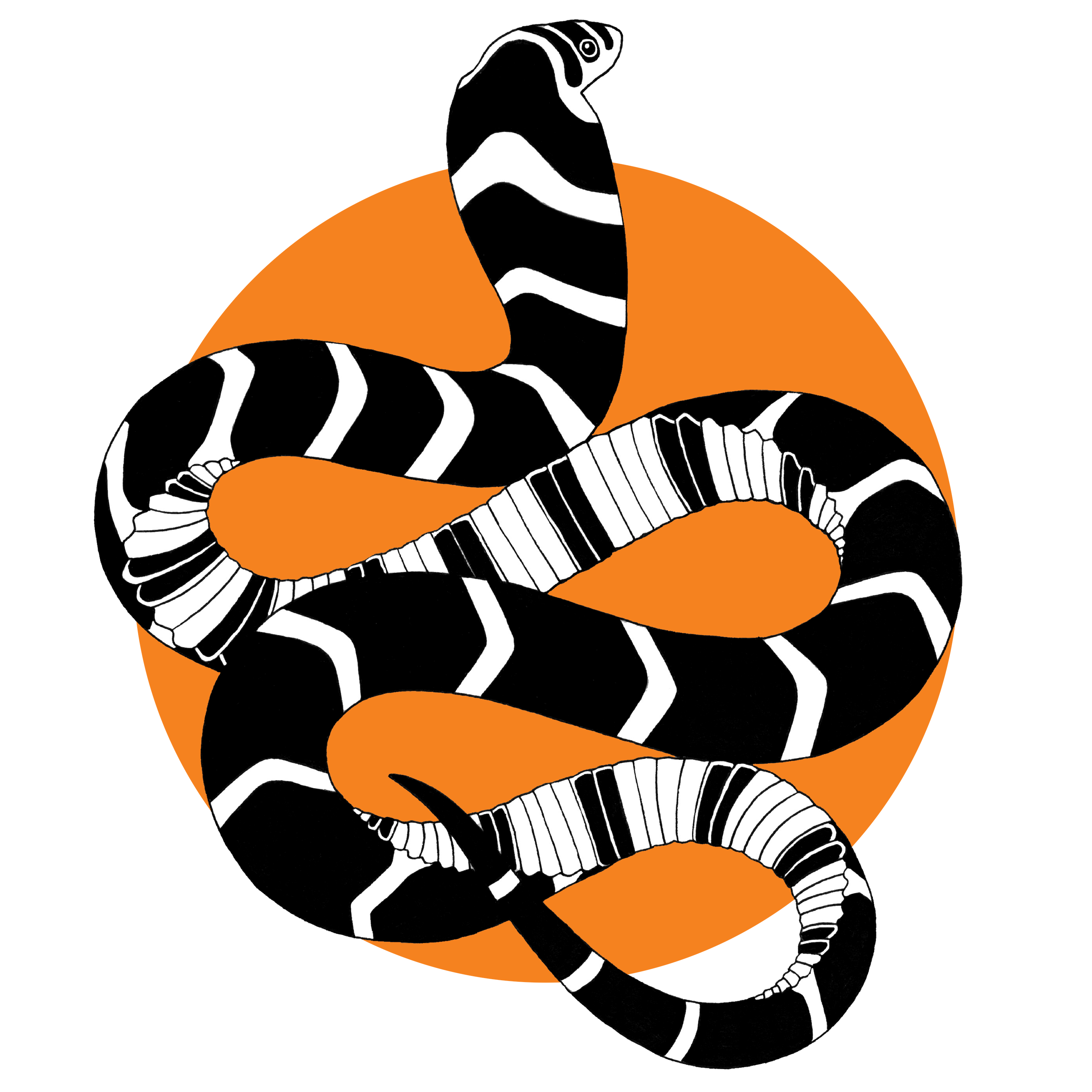 Save the Snakes Corporation Logo