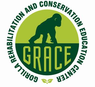 Gorilla Rehabilitation And Conservation Education Grace Cent Logo