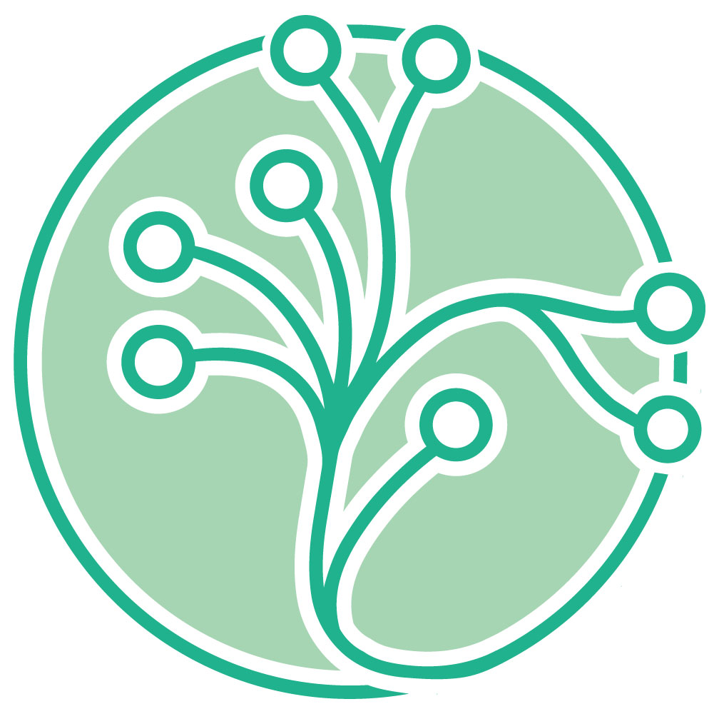 Lymphatic Malformation Alliance Logo