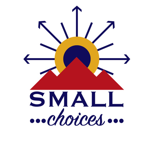 Small Choices Foundation Logo