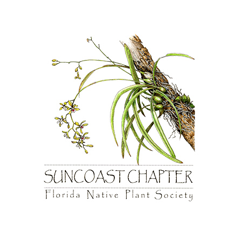 Florida Native Plant Society Inc Logo