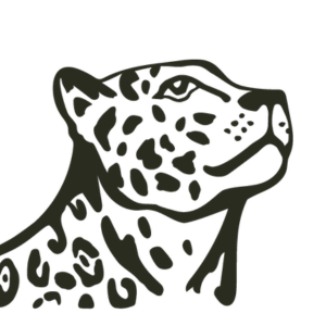 North American Wilderness Recovery Logo