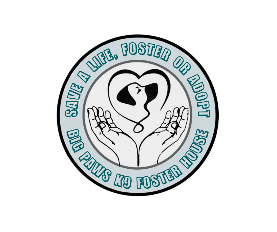 Big Paws K9 Foster House Logo