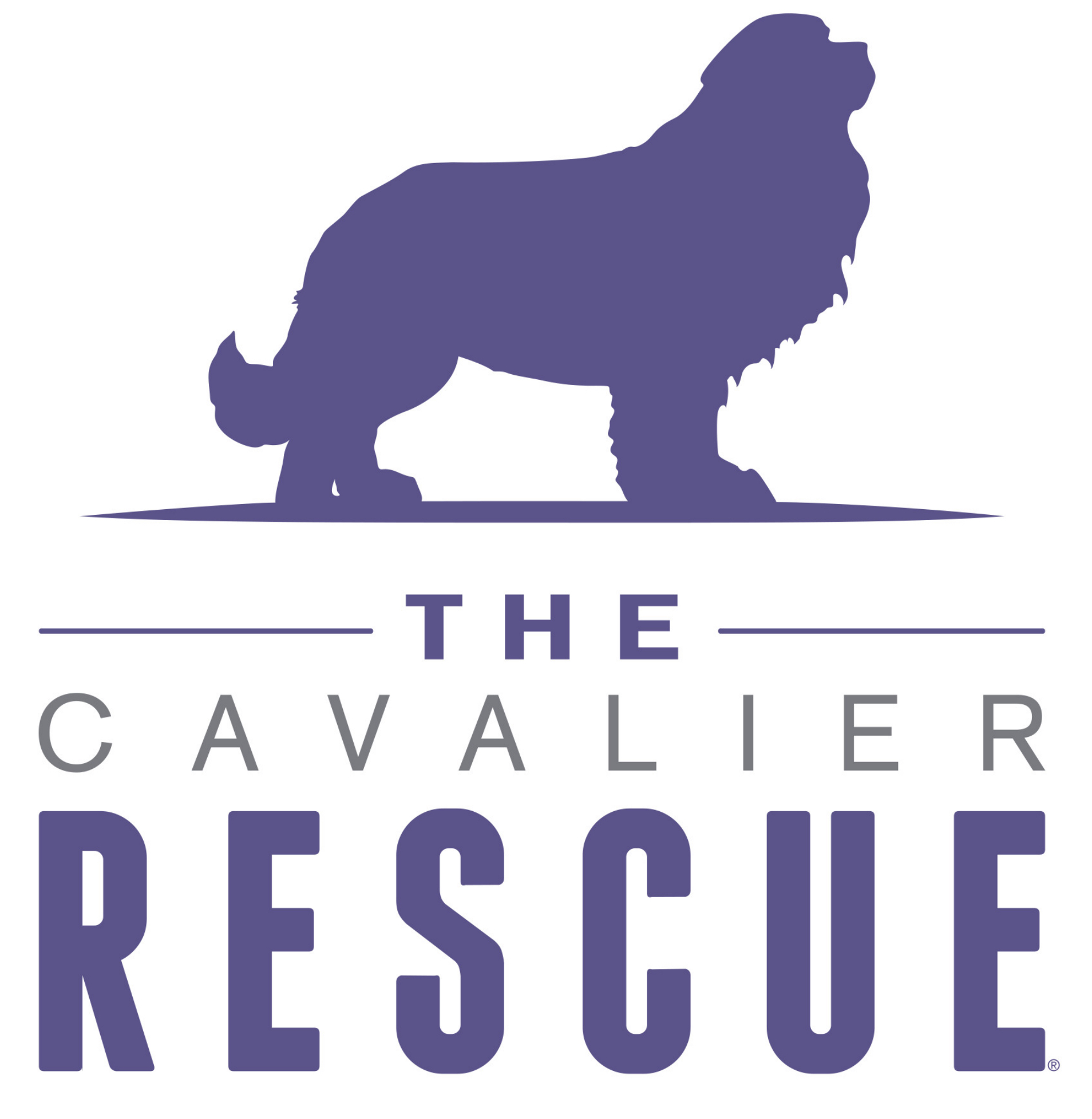 Cavalier Rescue Of Alabama Logo