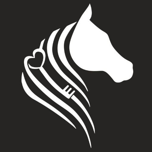 Strides Therapeutic Horsemanshipcenter Logo