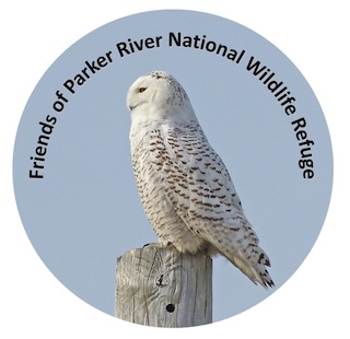 Friends of Parker River National Wildlife Refuge, Inc. Logo
