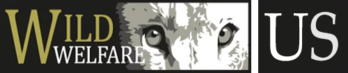 Wild Welfare US Logo