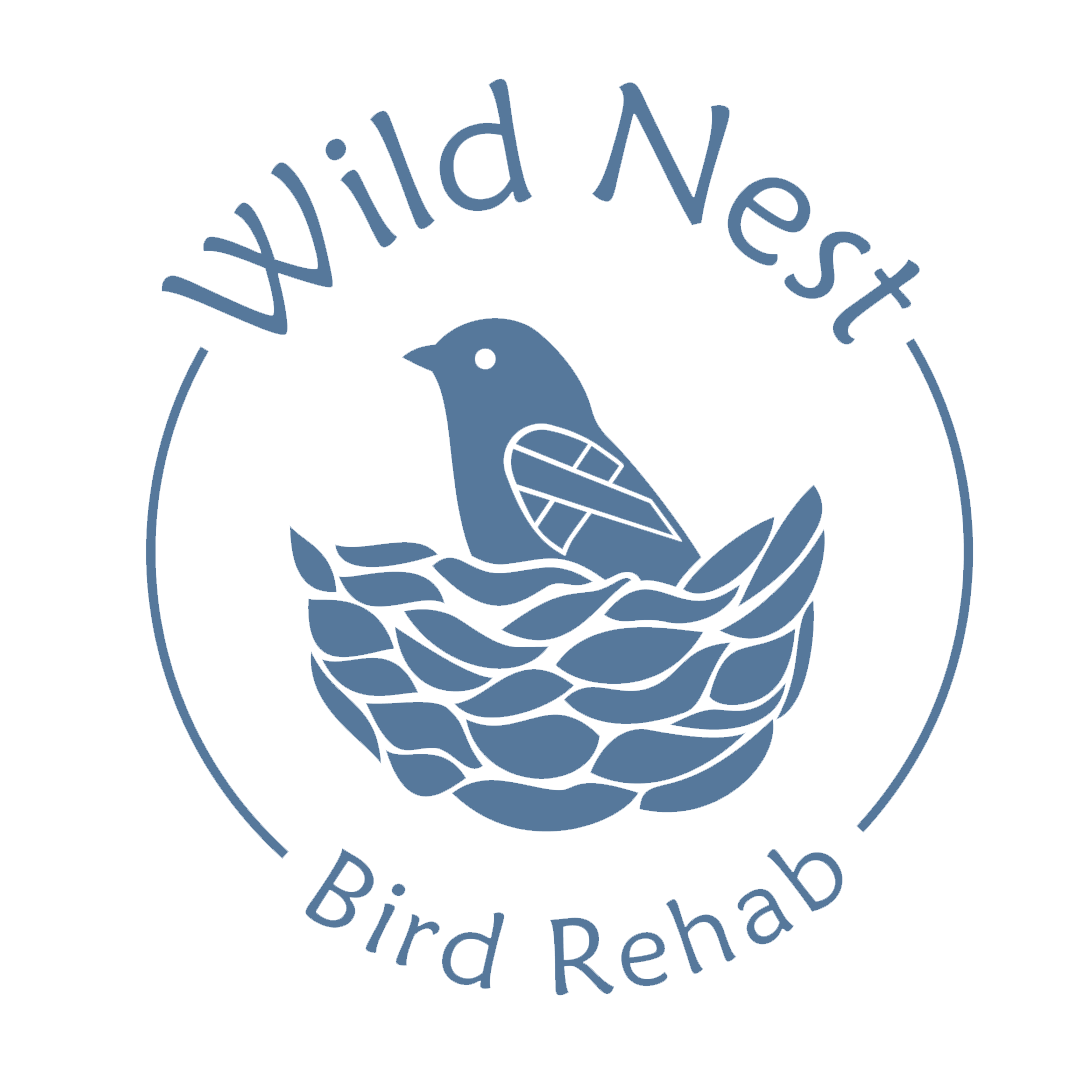 Wild Nest Bird Rehab Logo