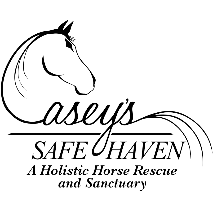 Nancy Young Logo