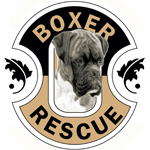 Boxer Rescue Fund Inc Of La Co Ursula Sauthier Logo