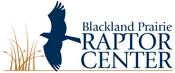 Bpraptorcenter Logo