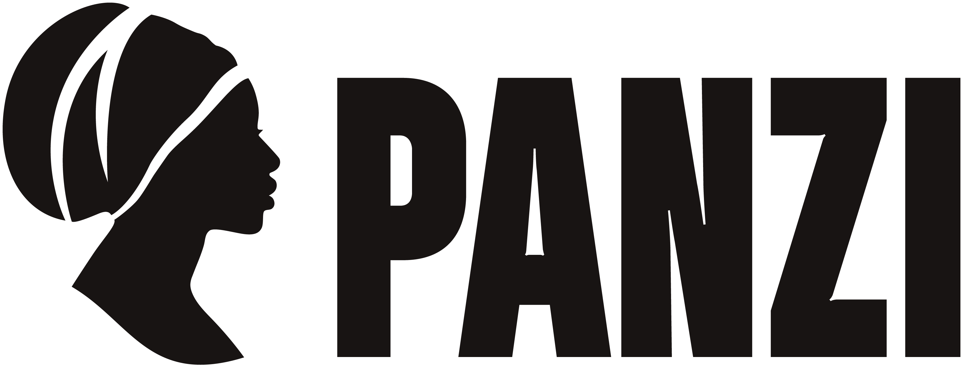 Panzi Foundation Logo
