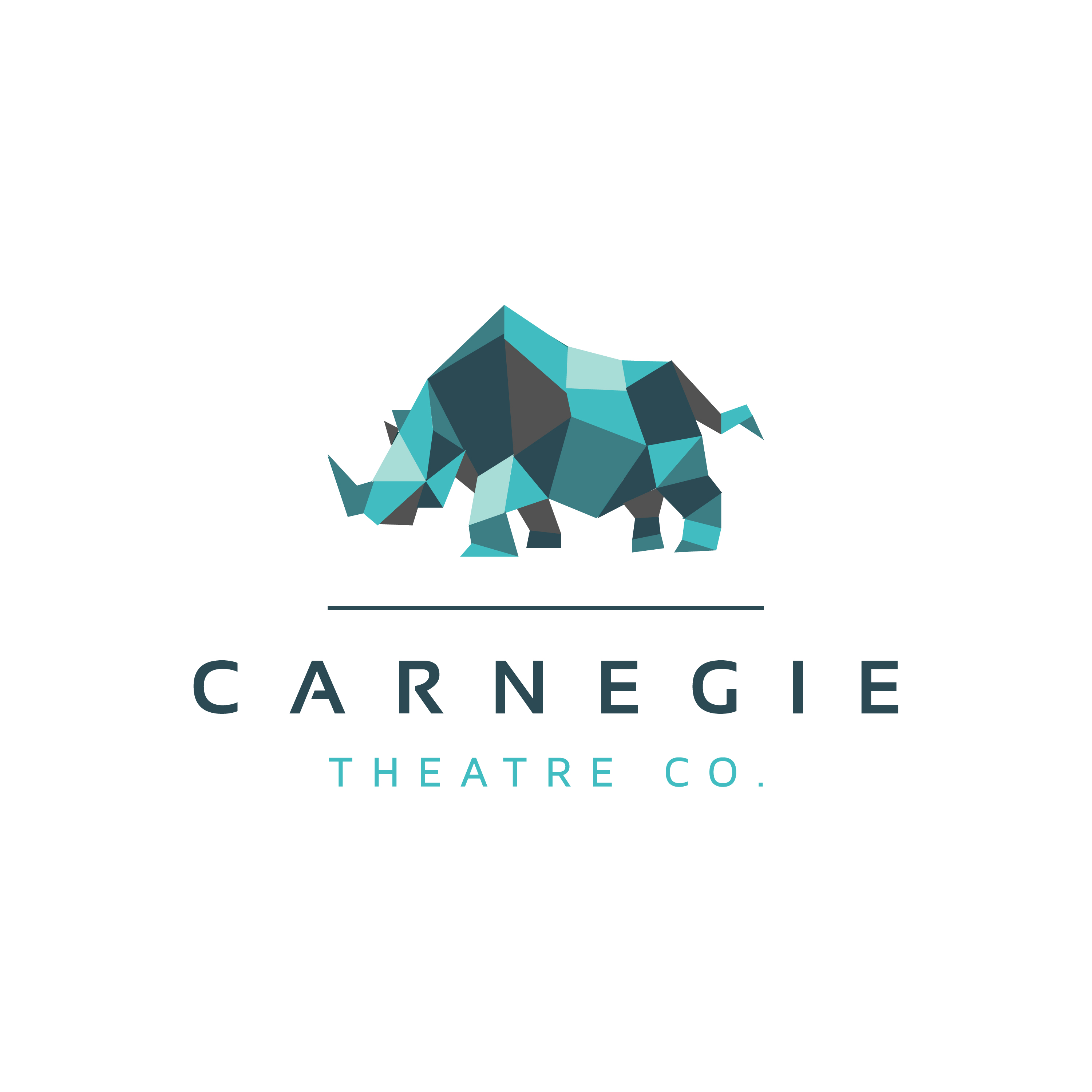 Carnegie Theatre Co Inc. Logo