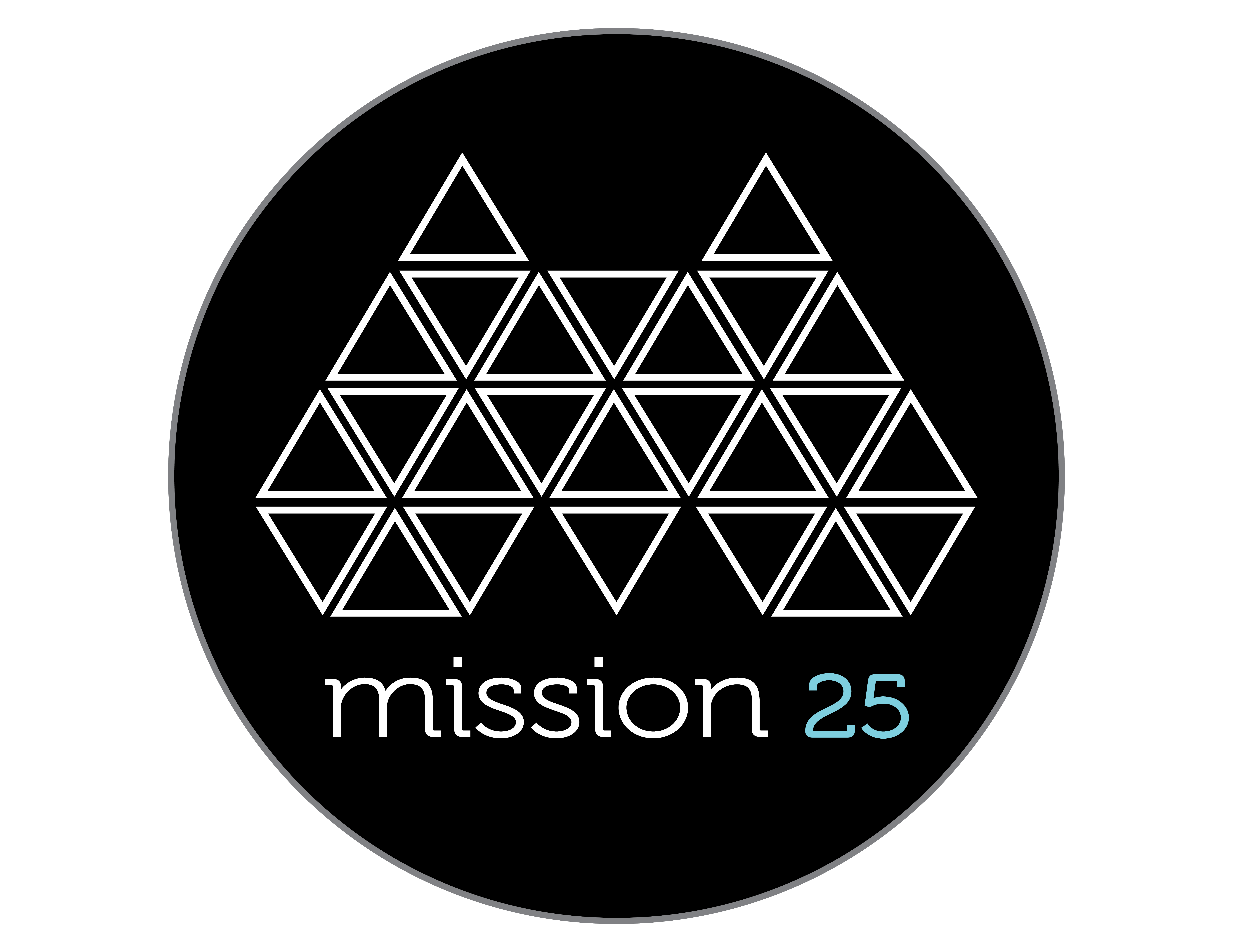 Mission 25 Logo