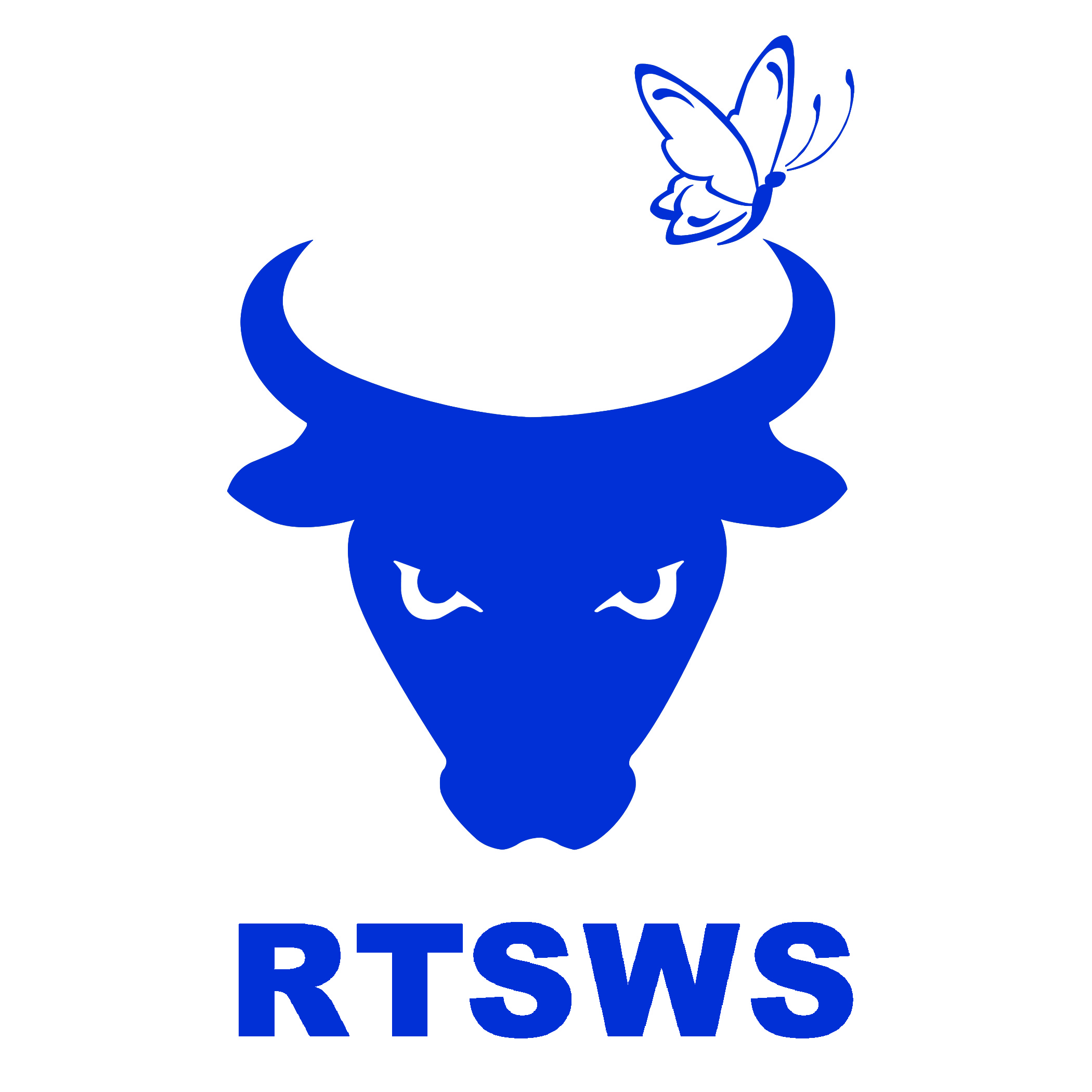 Rock The Street Wall Street Logo