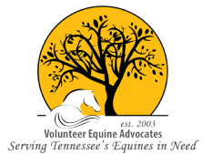 Volunteer Equine Advocates Logo