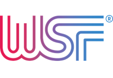 Womens Sports Foundation Logo