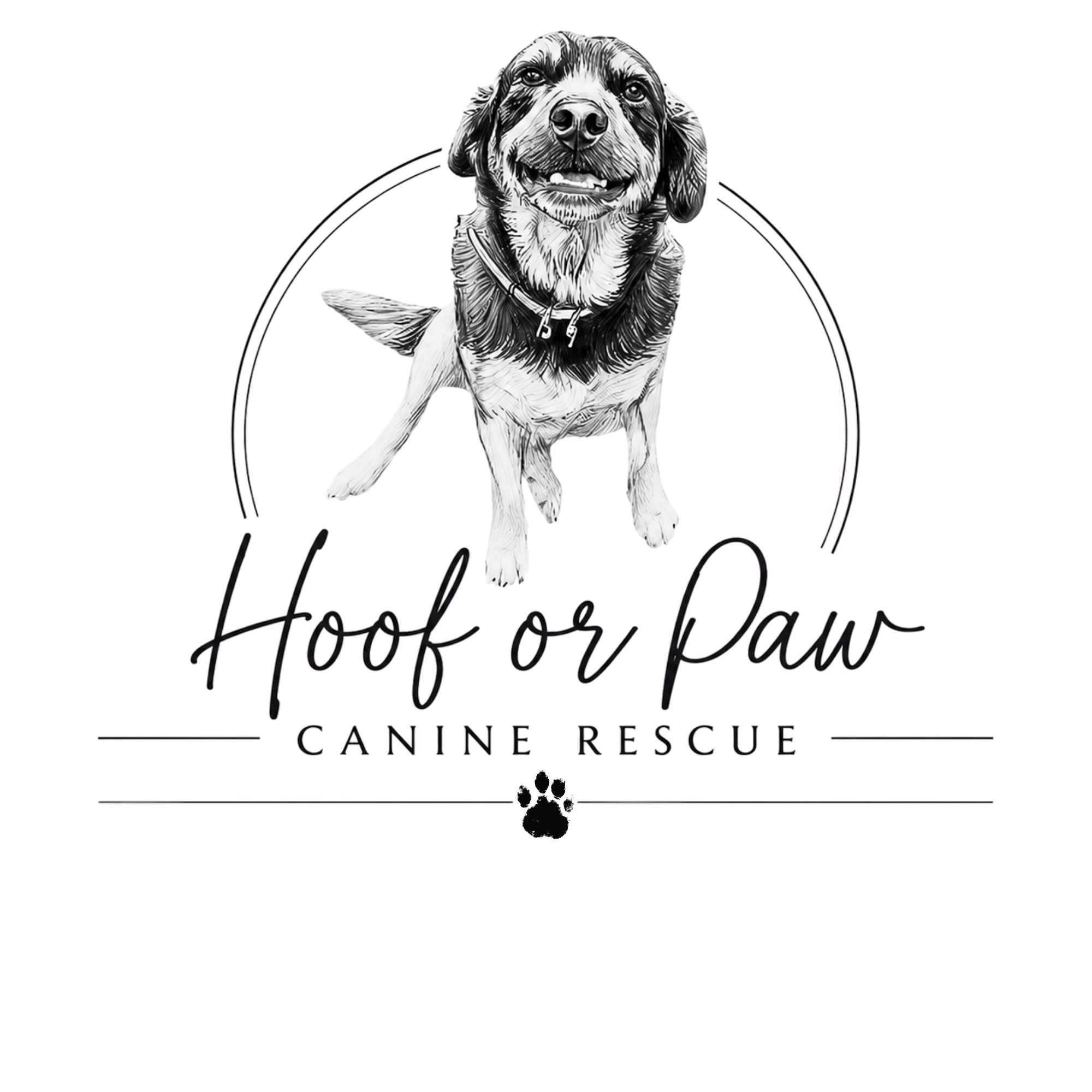 Hoof or Paw Logo