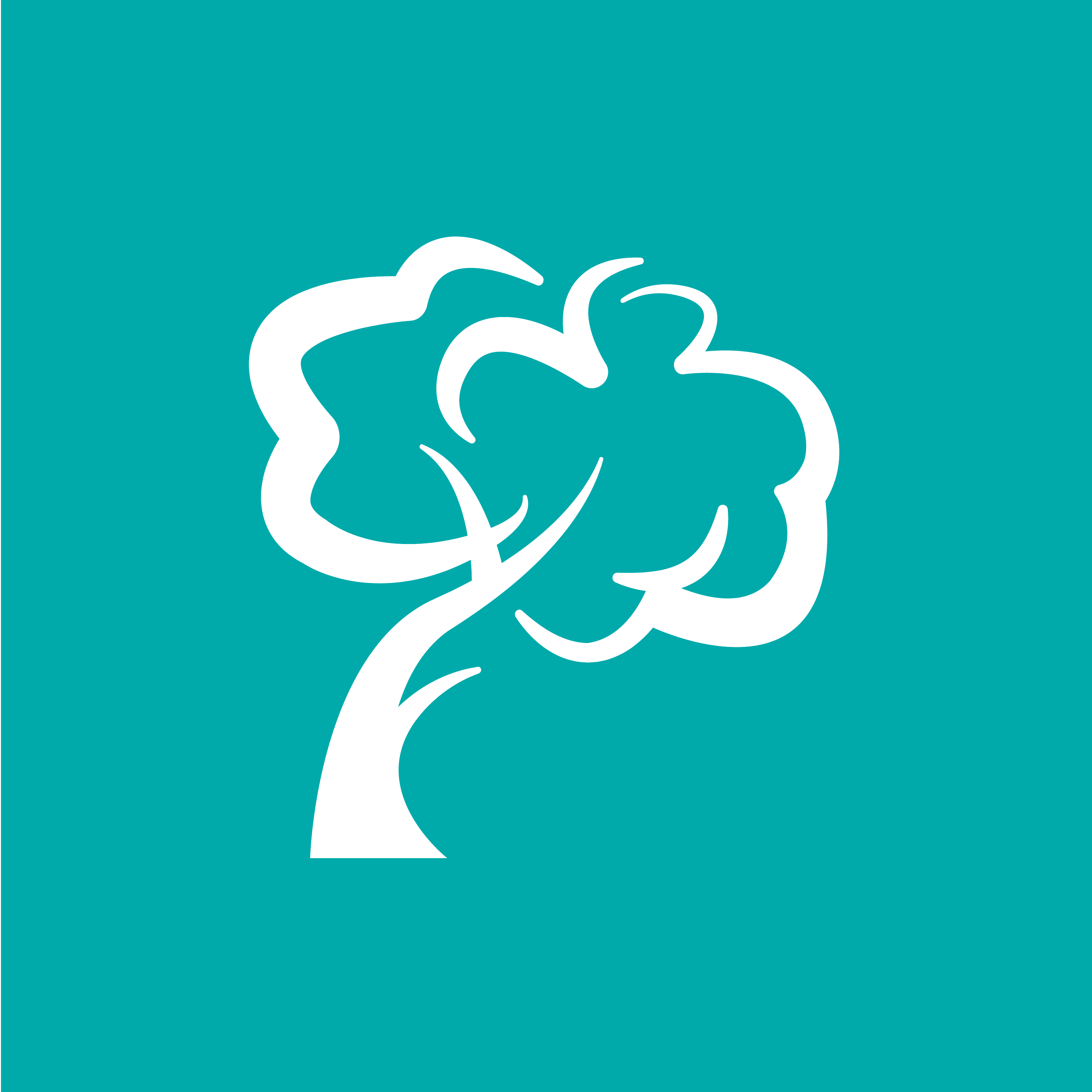 Beleaf Survivors Inc Logo