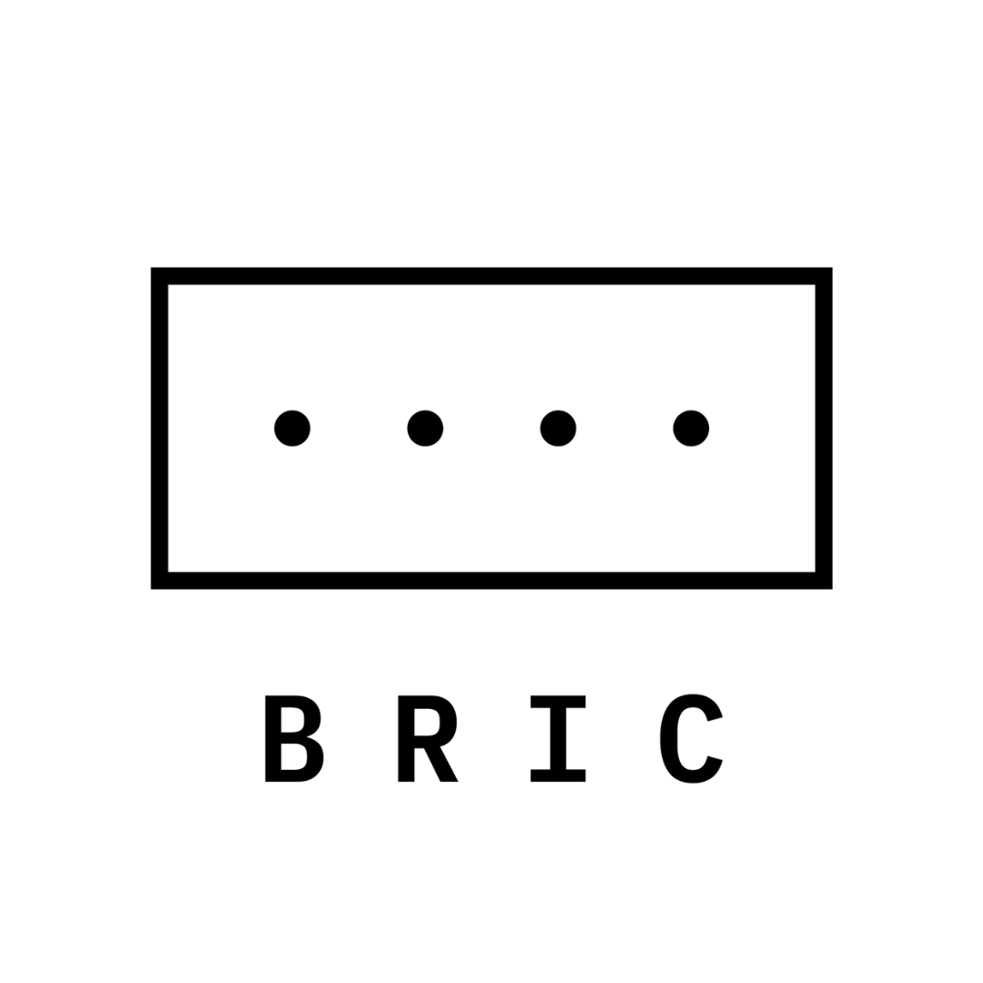 Bric Foundation Logo