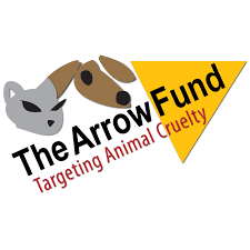 Arrow Fund Logo