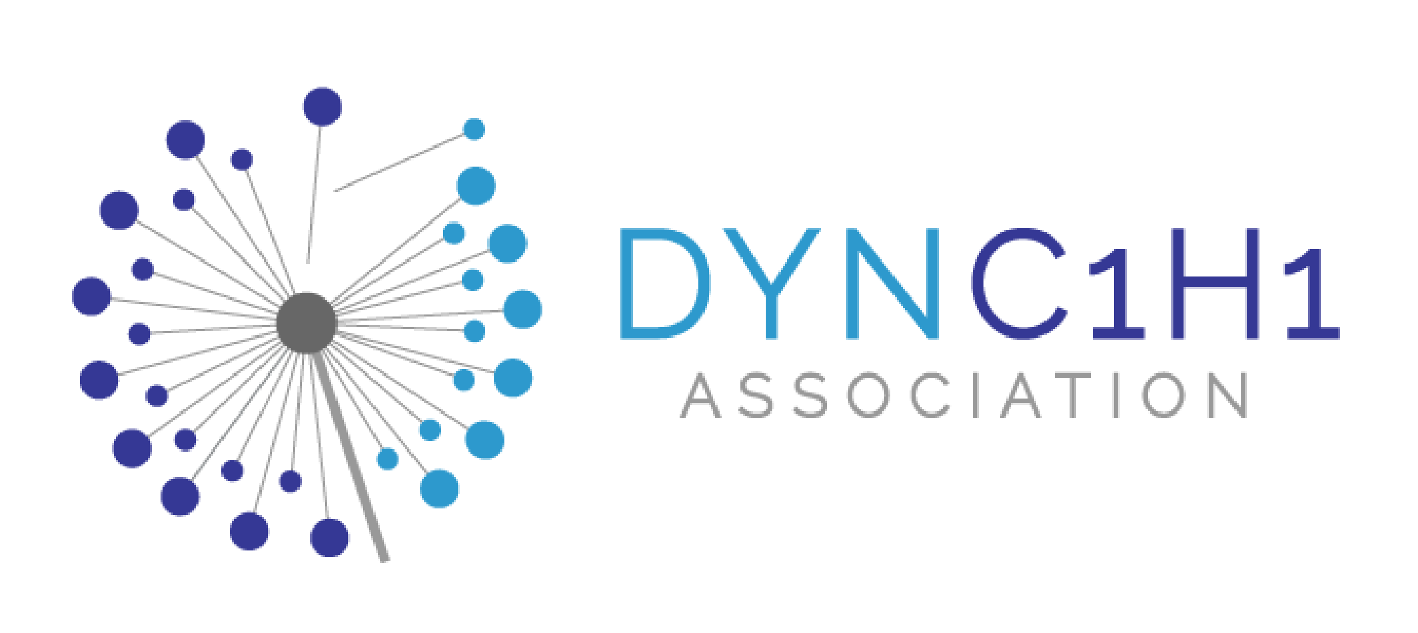 Dync1h1 Association Inc. Logo